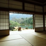畳　和室