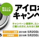 ルンバ　キャンペーン
